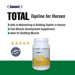 Caballo en movimiento con topline fortalecida gracias a Ramard Total Topline