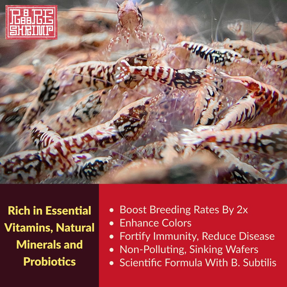 Rare Shrimp pellets hundibles 200 g mantienen agua clara y alimentan lentamente.