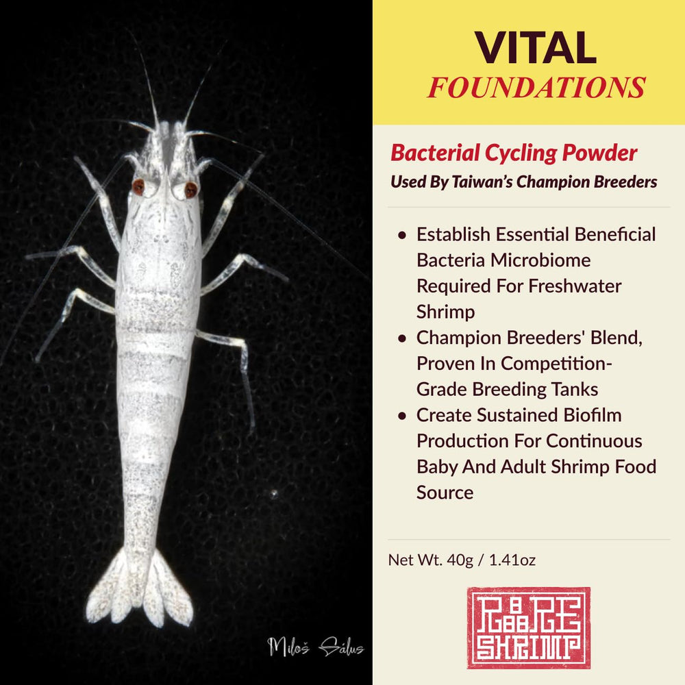 Rare Shrimp biofilm sostenible que alimenta a los camarones de forma natural