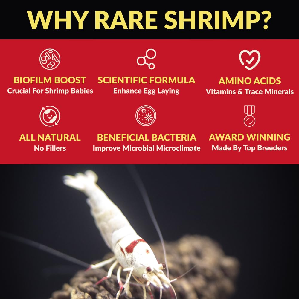 Rare Shrimp Crystal Red compatible, promueve colonia próspera.