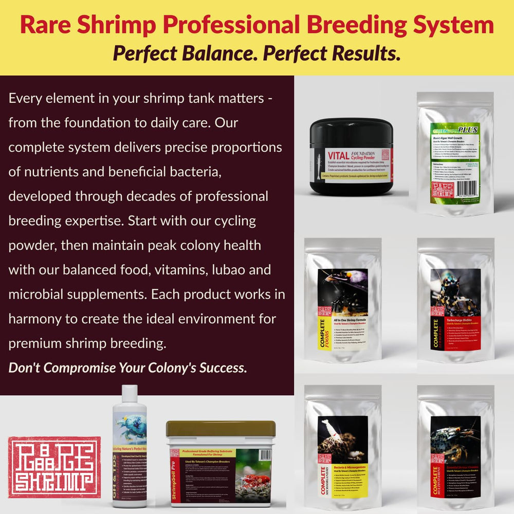 Rare Shrimp cultivo-alimento-natural-biofilm, soporte nutricional estable.