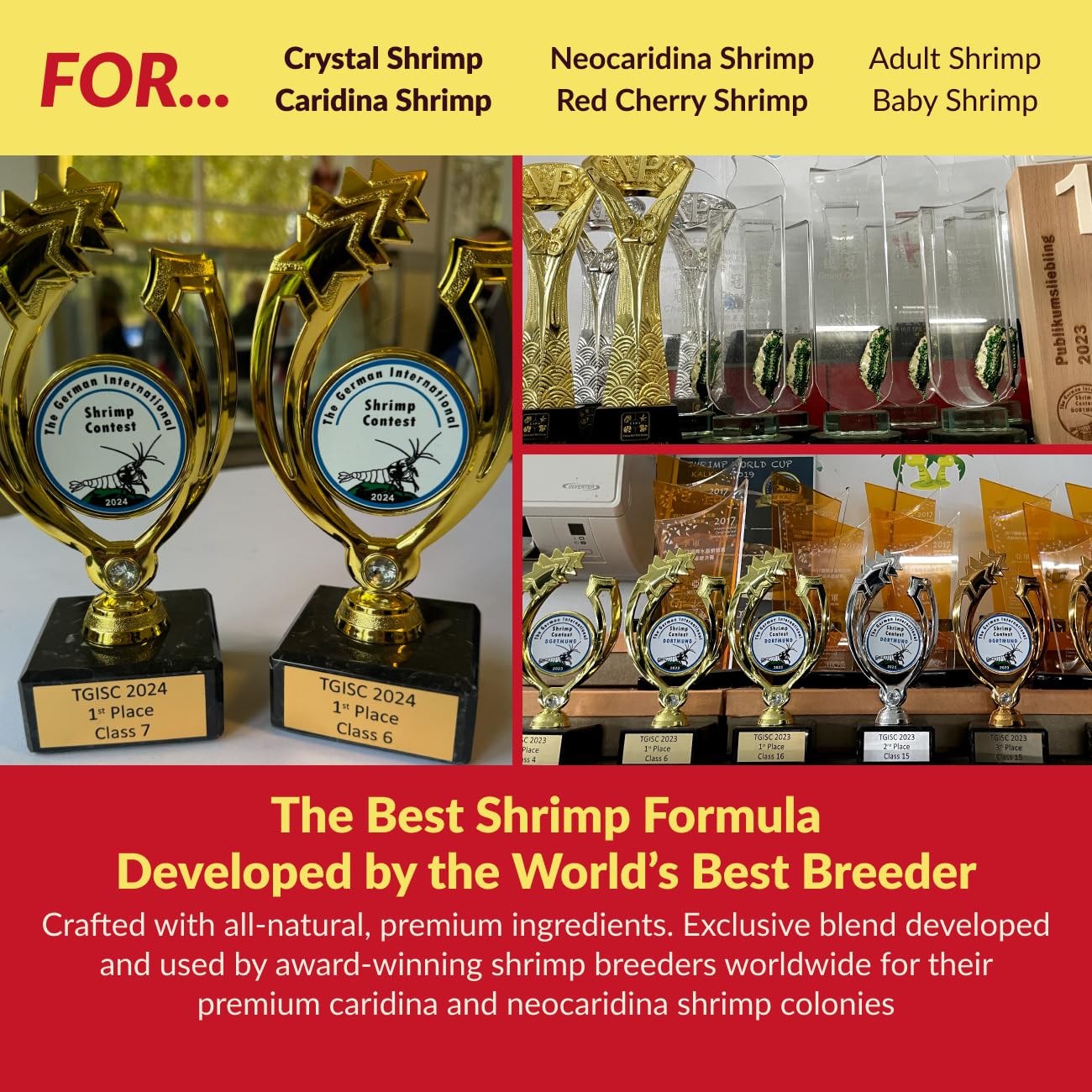 Rare Shrimp cultivo de microorganismos clave para salud y estabilidad
