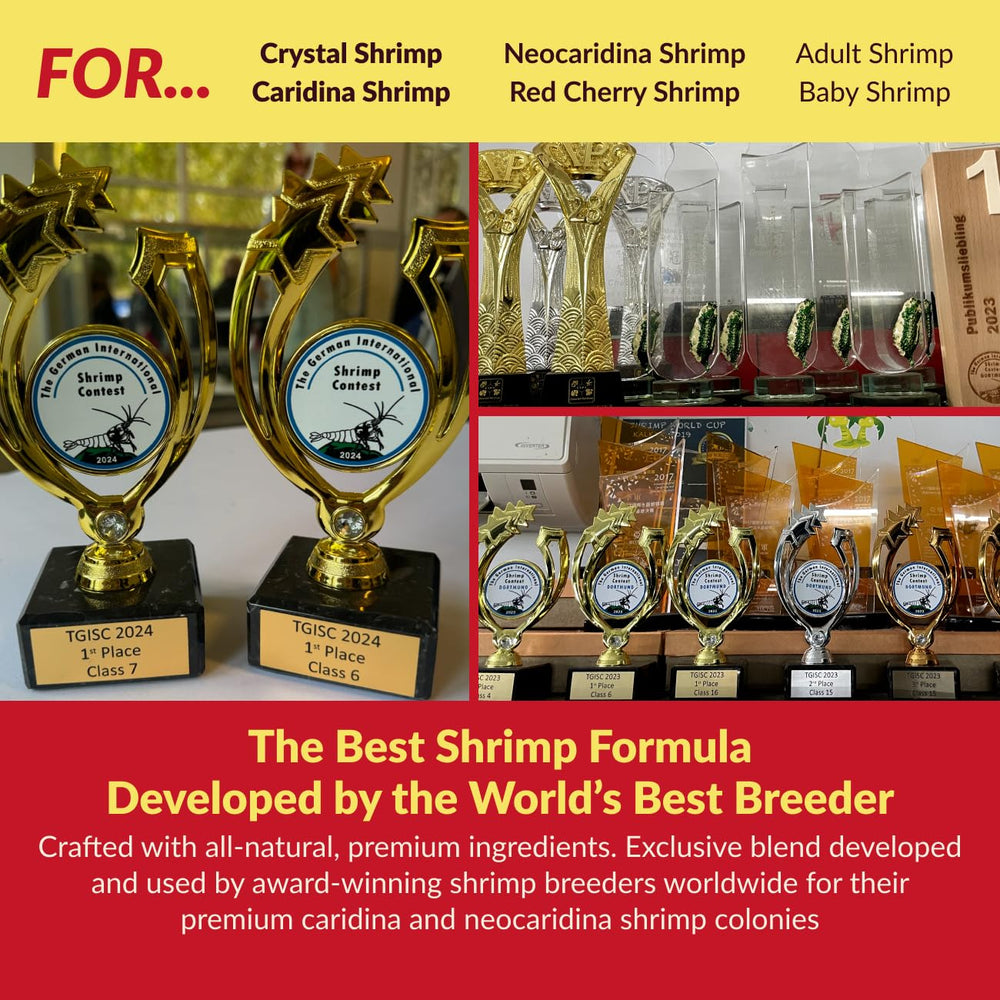 Rare Shrimp cultivo de microorganismos clave para salud y estabilidad