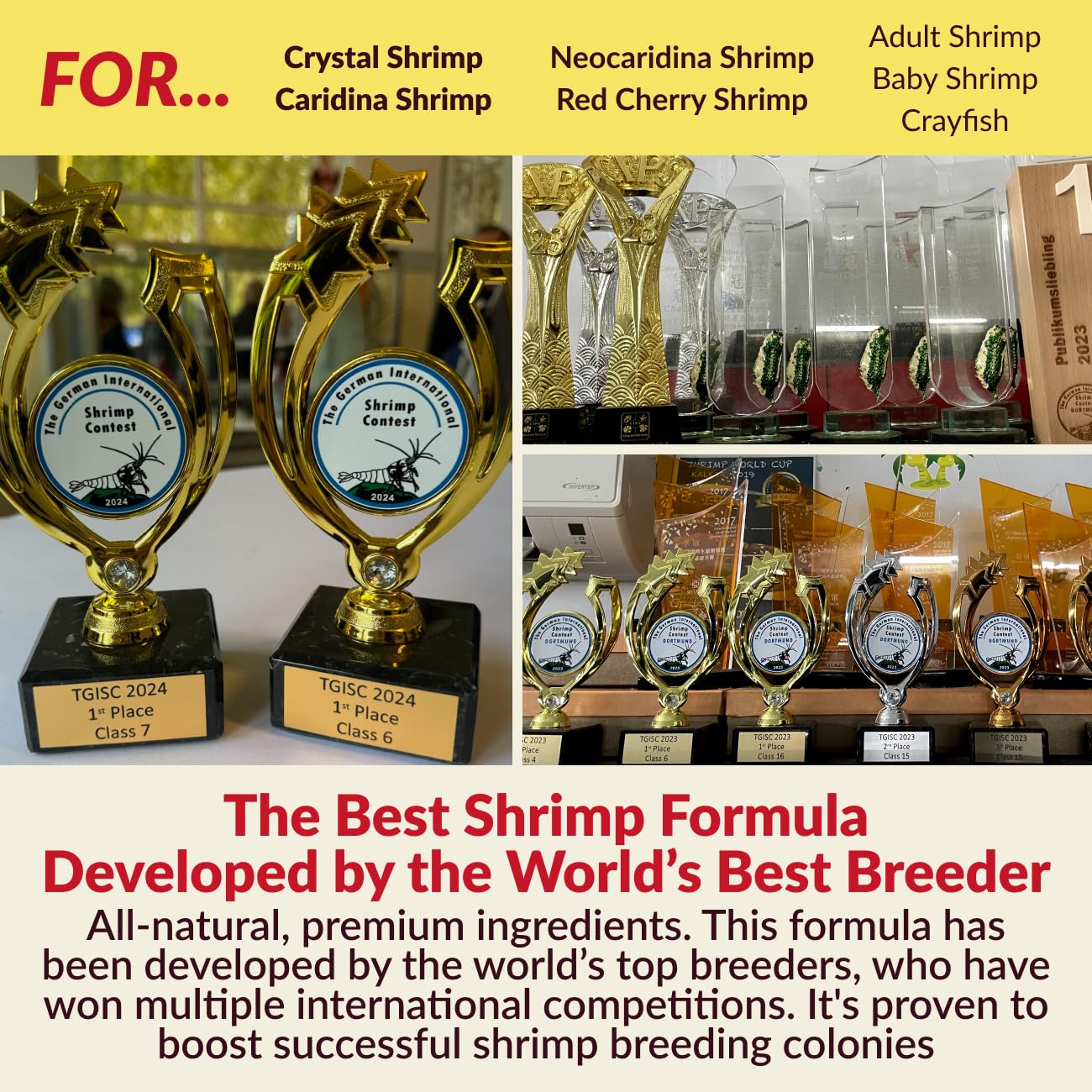 Rare Shrimp ecosistema microbiano estable que mantiene agua equilibrada.