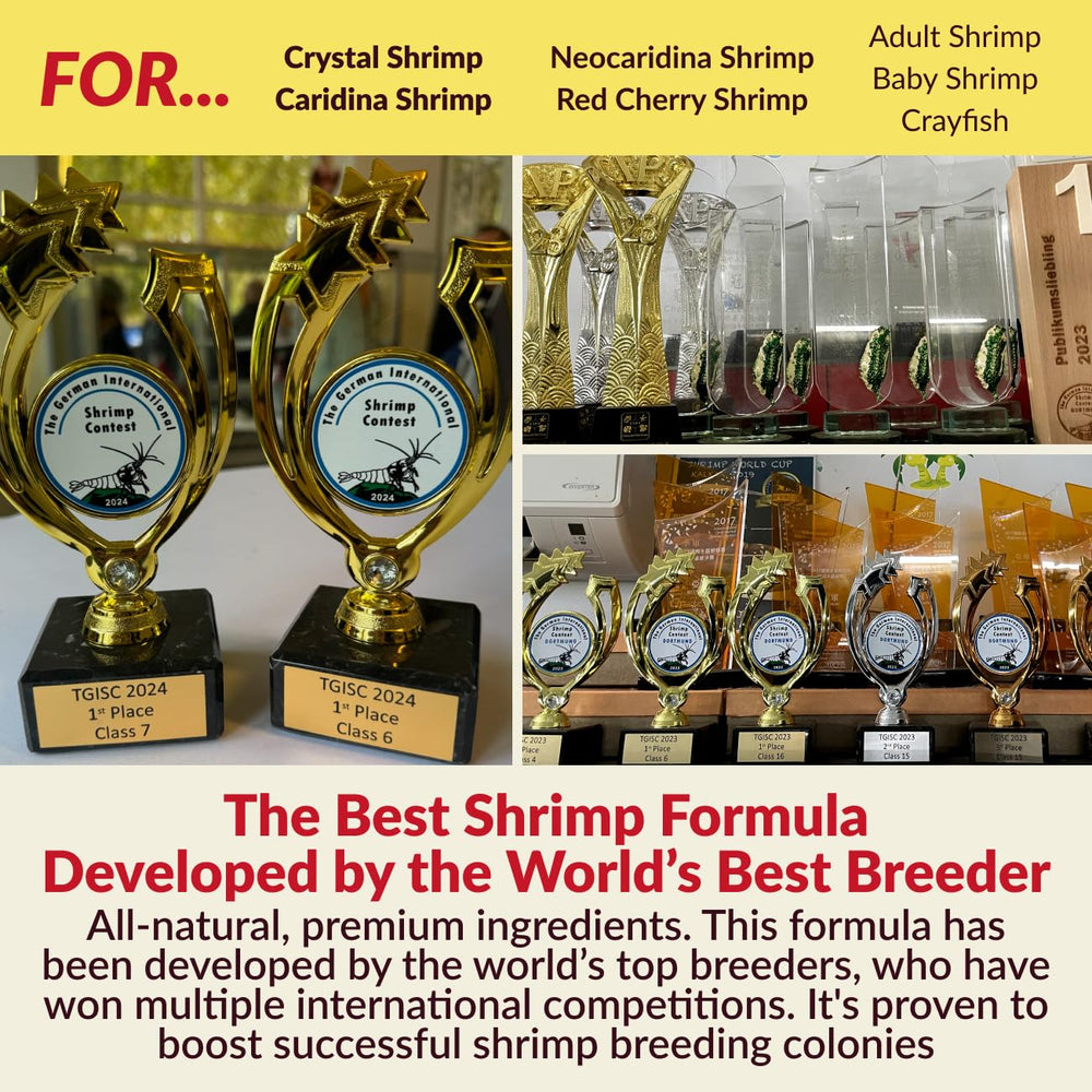 Rare Shrimp ecosistema microbiano estable que mantiene agua equilibrada.