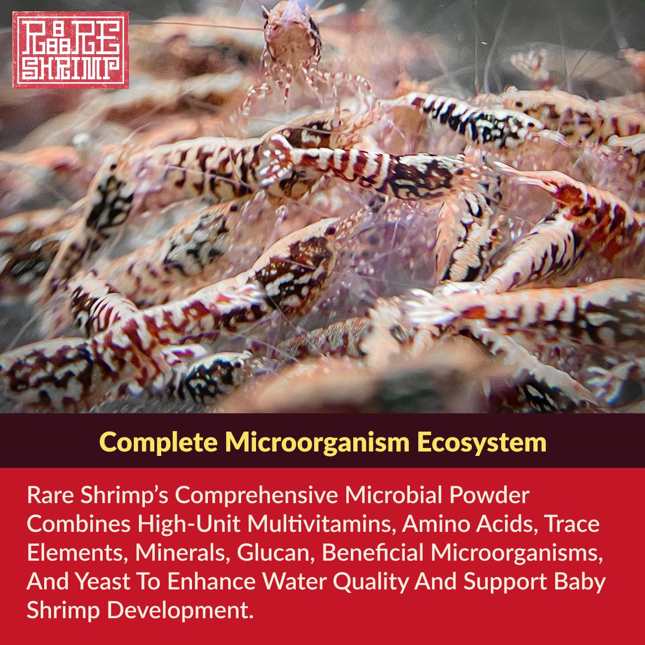 Rare Shrimp fórmula taiwanesa para Caridina y Neocaridina.