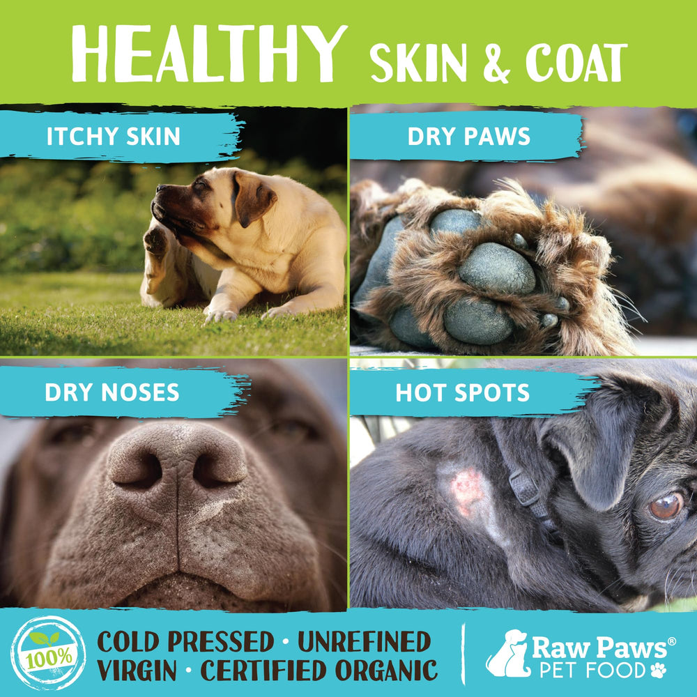 Raw Paws Aceite de coco orgánico en cuchara para dosis diarias y digestión