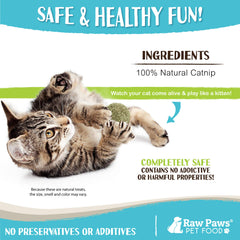 Raw Paws Balles d'Herbe à Chat – jouet interactif, incite à l’activité physique.