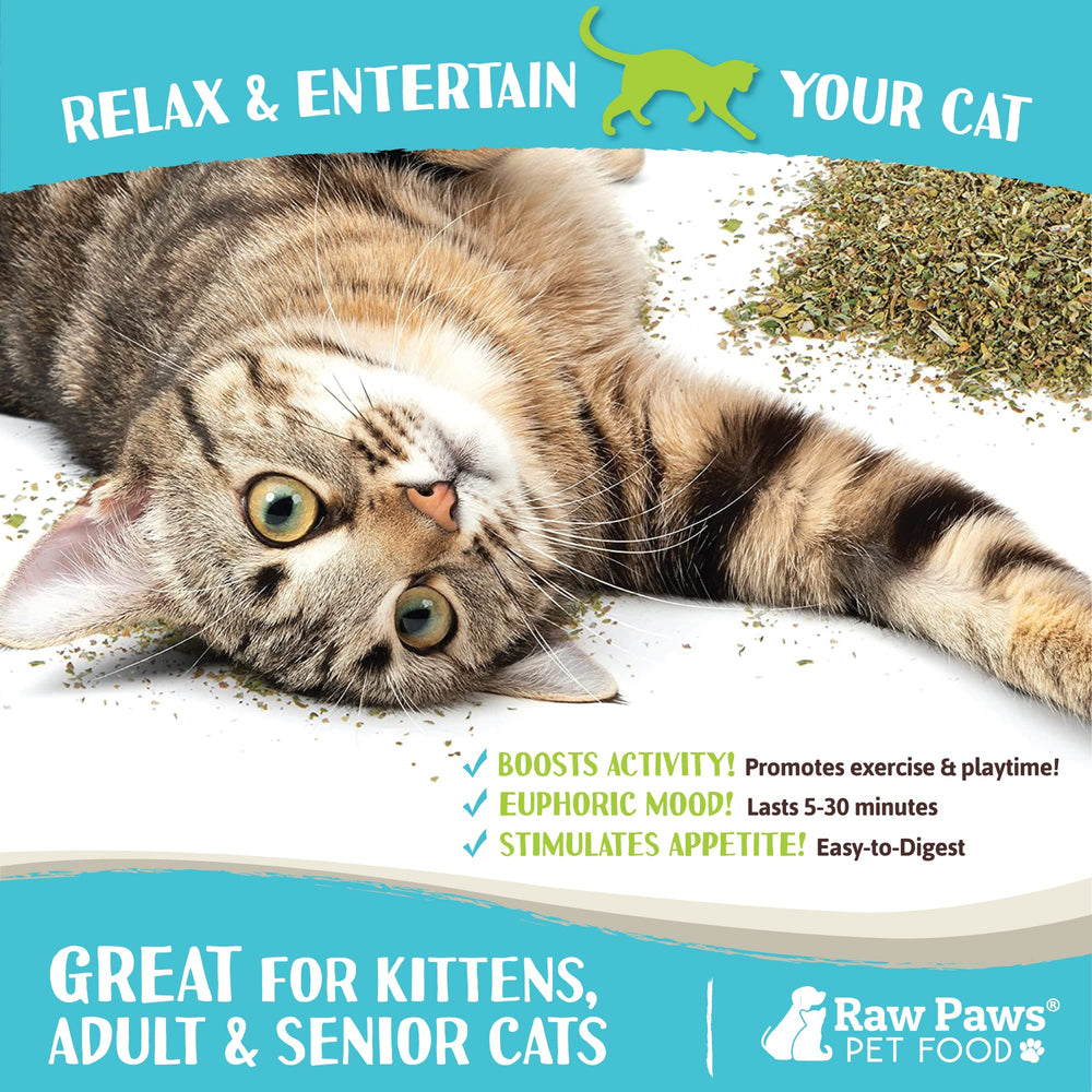 Raw Paws Catnip cuillère-doseuse, dose précise pour sessions de jeu courtes.