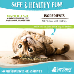 Raw Paws Catnip pour jouets chat réutilisables, pratique pour remplir les jouets.