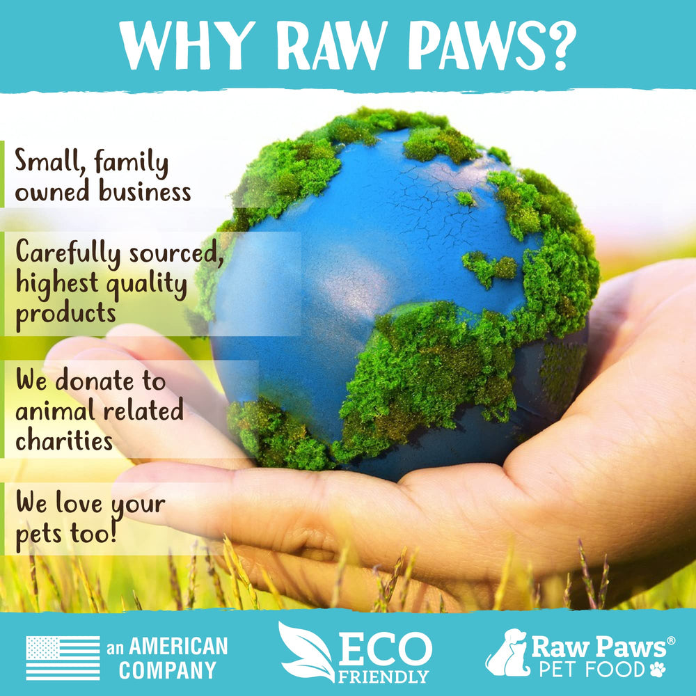 Conjunto Raw Paws de 6 piruletas, entretenimiento continuo para gatos.
