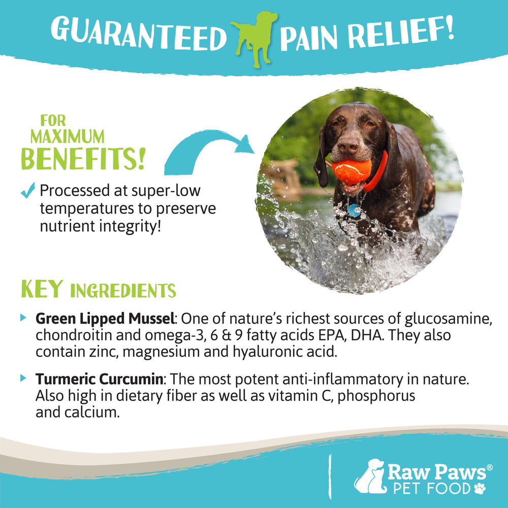 Raw Paws curcuma polvo apoyo suave para bienestar diario