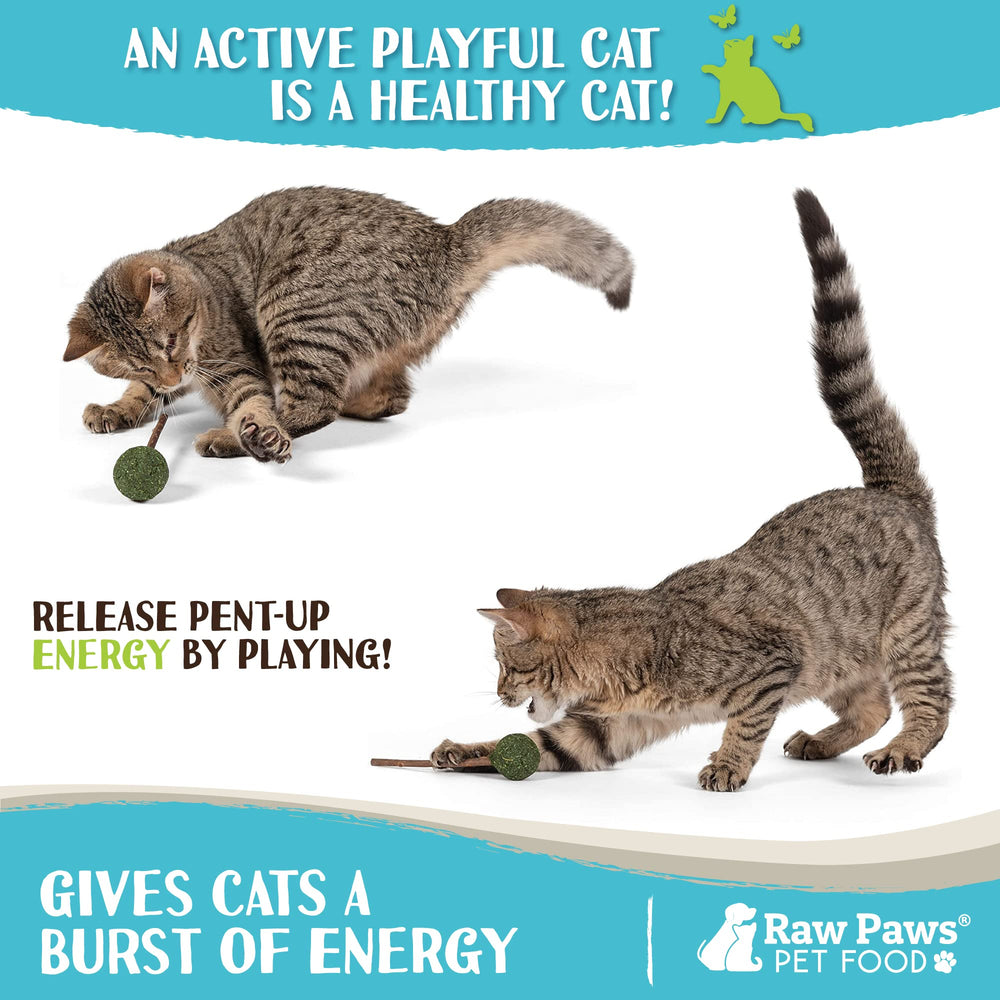 Raw Paws piruletas para reducir el estrés de gatos durante viajes y visitas.