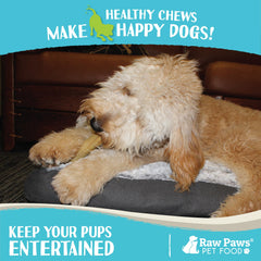 Raw Paws ingrediente único sin conservantes para masticación natural.