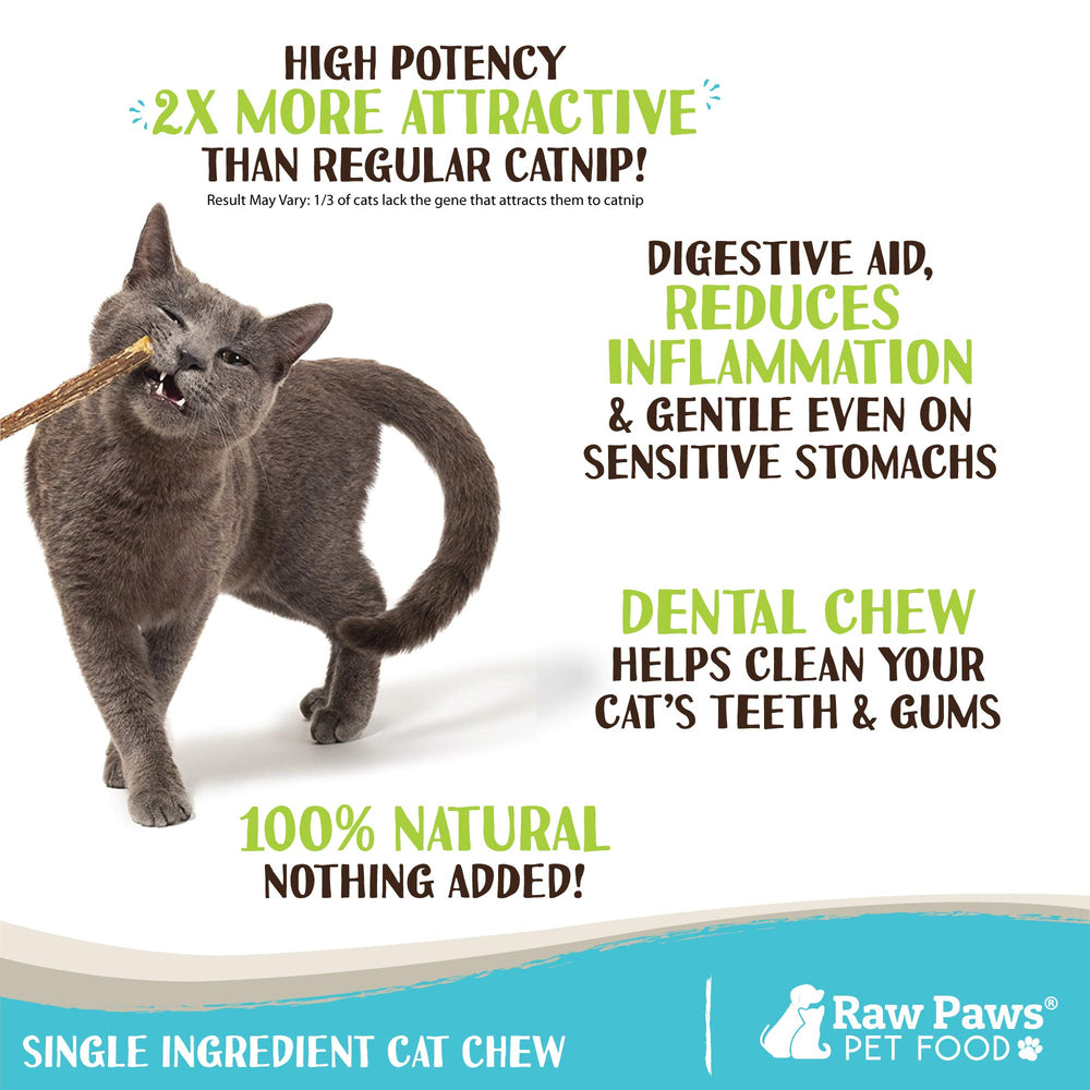 Raw Paws juguete matatabi para activar la actividad del gato