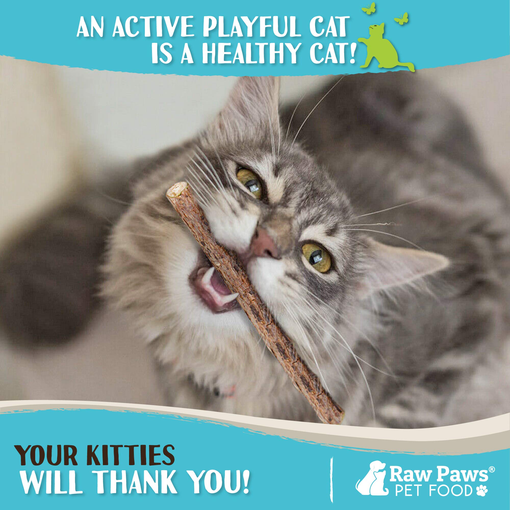 Raw Paws palitos matatabi textura masticable para morder con seguridad