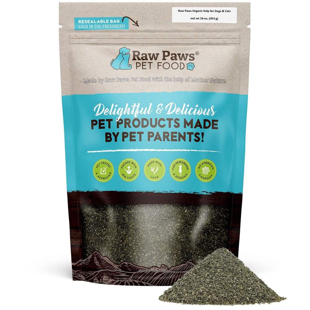 Raw Paws Polvo de Alga Kelp, frasco; aporta nutrientes clave para mascotas.