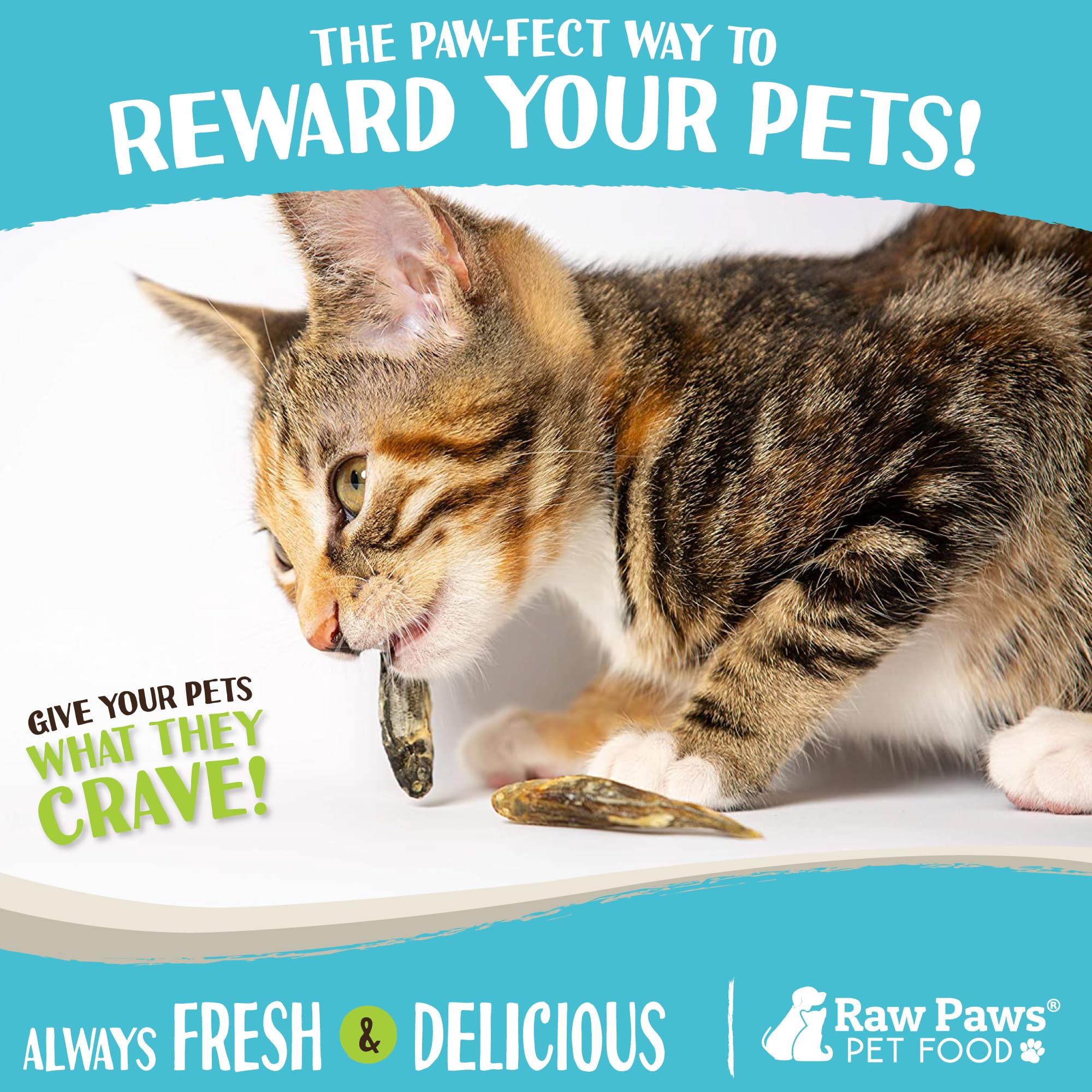 Recompensa para gatos Raw Paws, sabor sabroso y ligero.