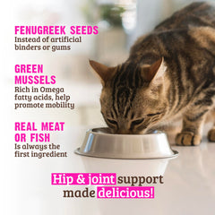 Rawz EPA y DHA para movilidad felina: nutrición orientada al movimiento.