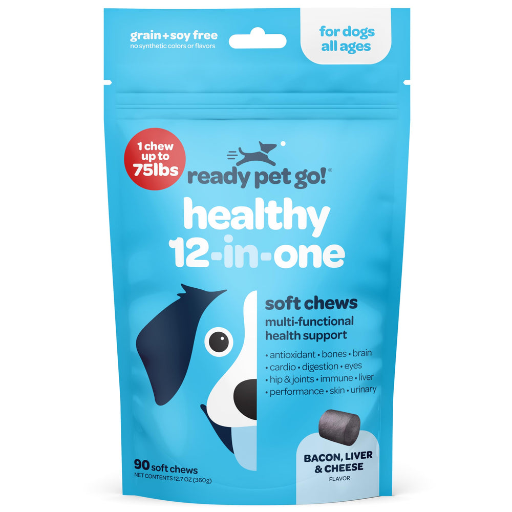 Ready Pet Go en casa, apoyo a perros mayores y jóvenes