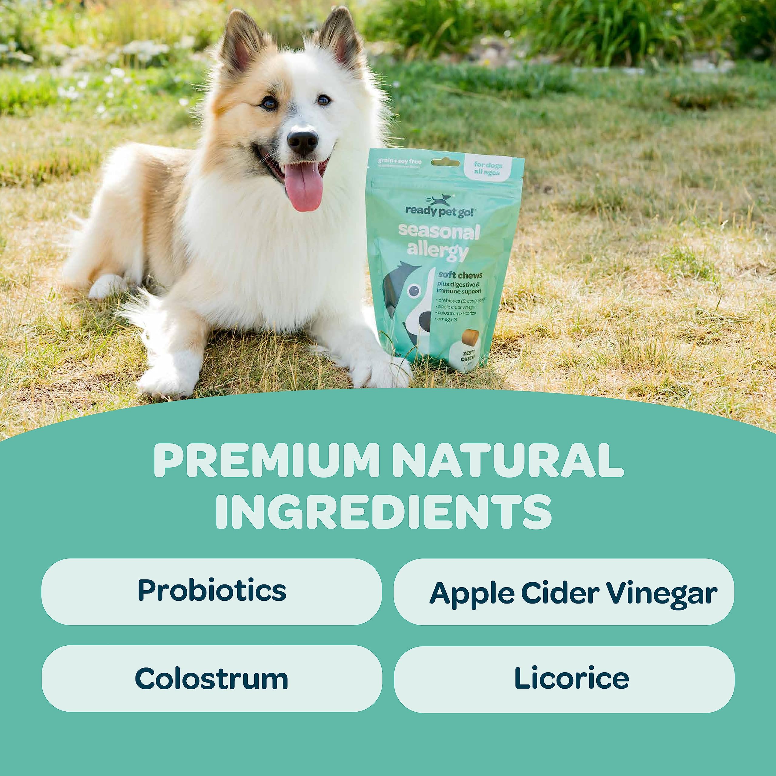 Ready Pet Go! Aceite salmon salvaje, fuente de nutrientes para la piel y pelaje.
