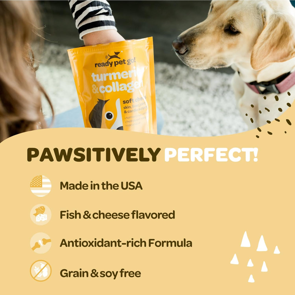 Ready Pet Go, cúrcuma con colágeno, sabor agradable para uso diario.