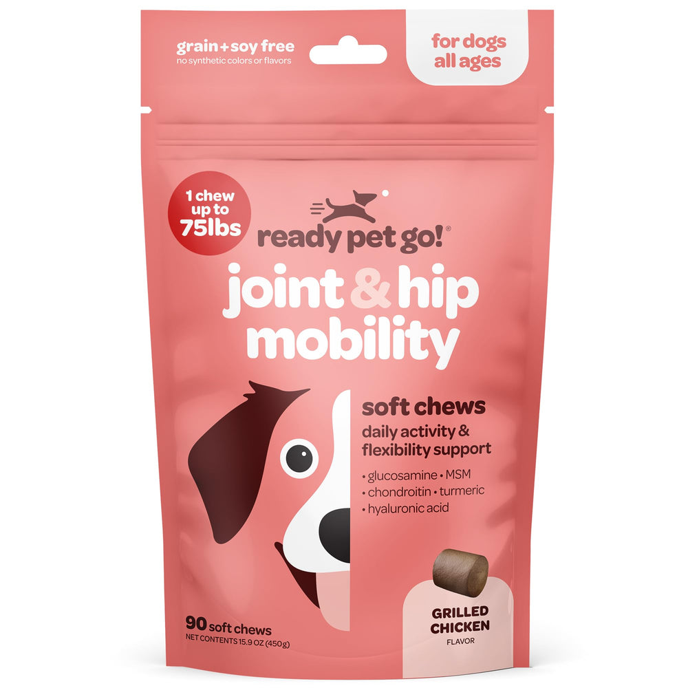 Perro feliz con masticables Ready Pet Go para articulaciones