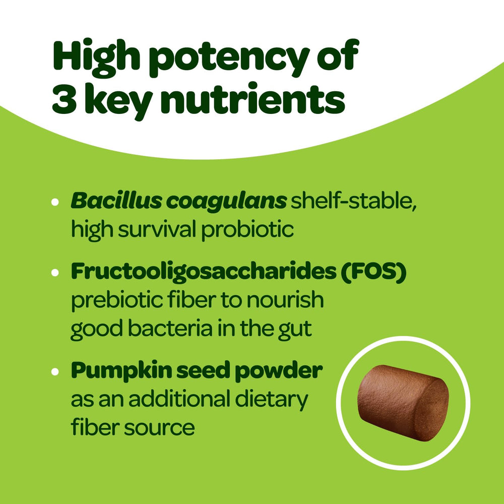 Probiotico Ready Pet Go para inmunidad y bienestar gastrointestinal