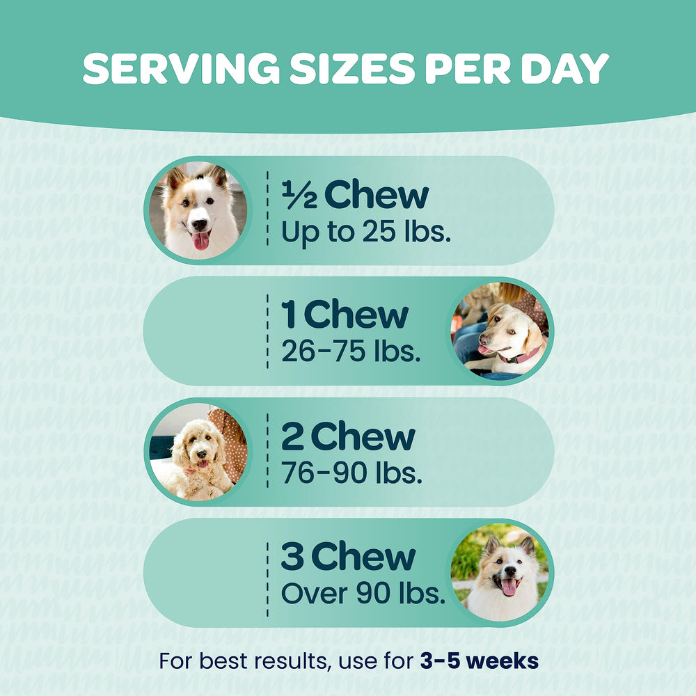 Ready Pet Go! Probióticos para perros, apoyo digestivo e inmunitario.