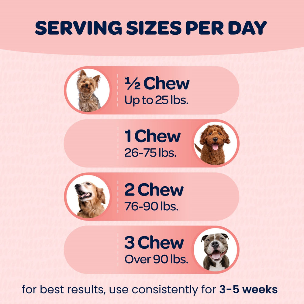 Producto Ready Pet Go sin granos ni maíz para perros selectos