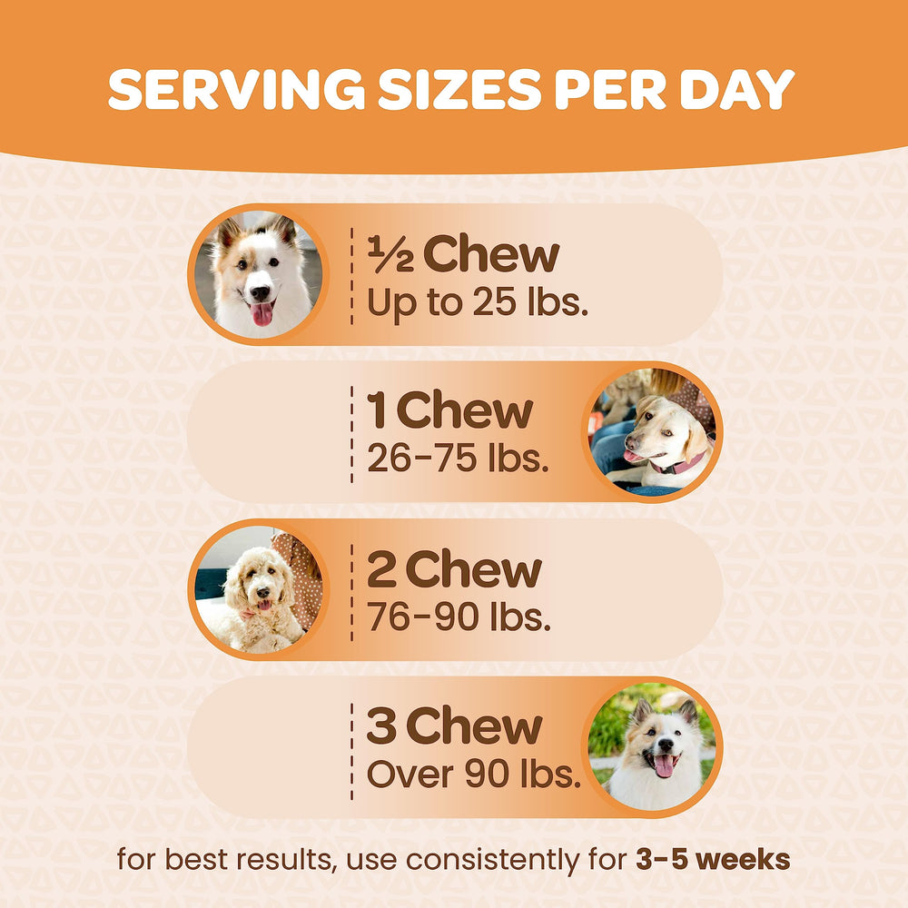 Ready Pet Go! suplemento de movilidad para perro con omega 3-6-9.