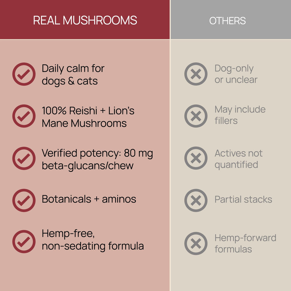 Real Mushrooms Calming Chews, dosis canina por 20 lb.