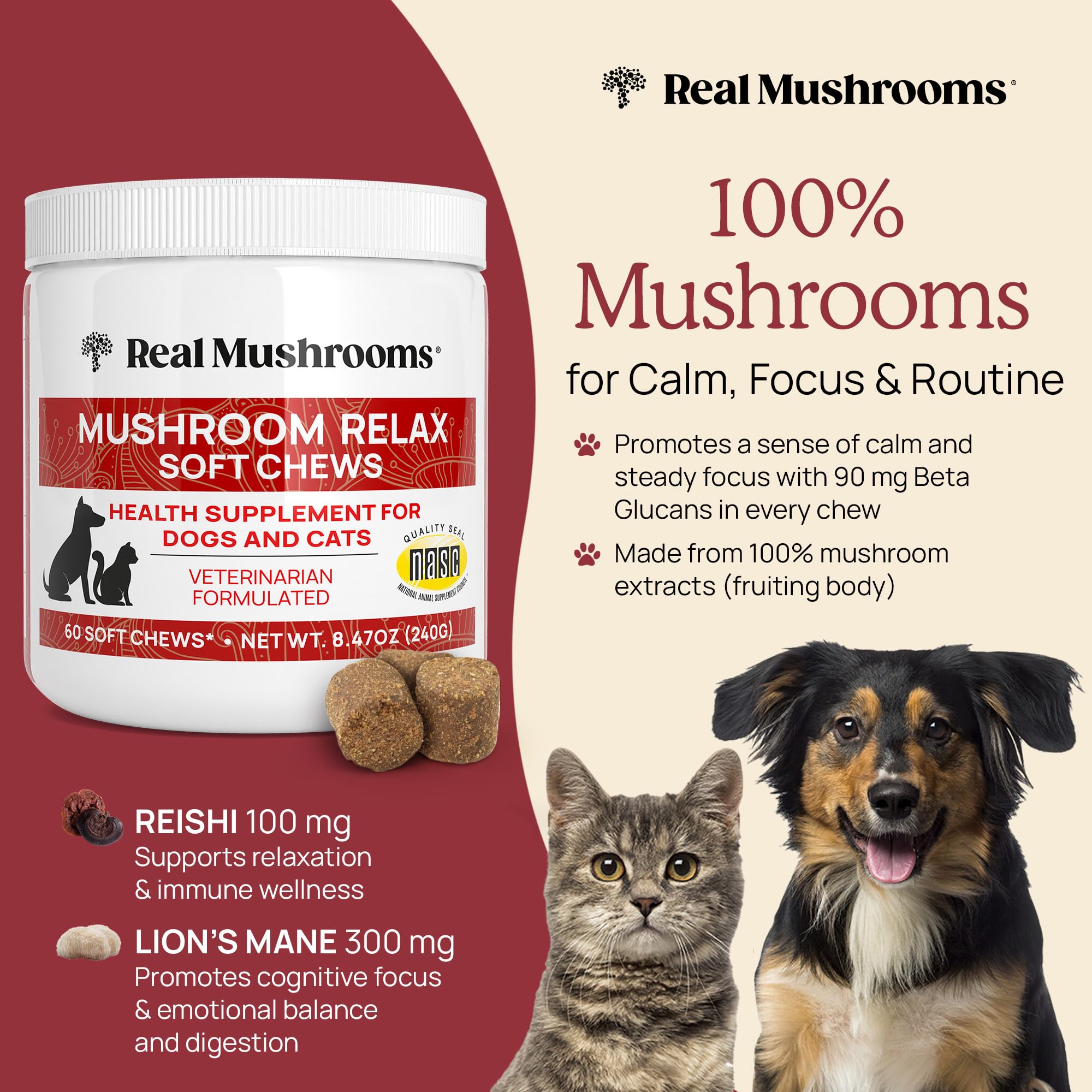 Real Mushrooms Calming Chews para gato, calma en casa.