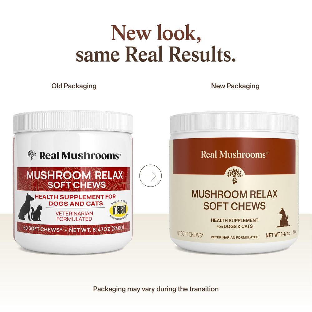 Real Mushrooms Calming Chews para perro, tranquilidad durante tormentas.