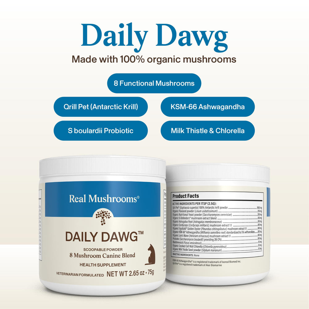 Real Mushrooms Cordyceps Perro Polvo: complemento para juego y entrenamiento