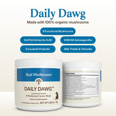 Real Mushrooms Cordyceps Perro Polvo: complemento para juego y entrenamiento