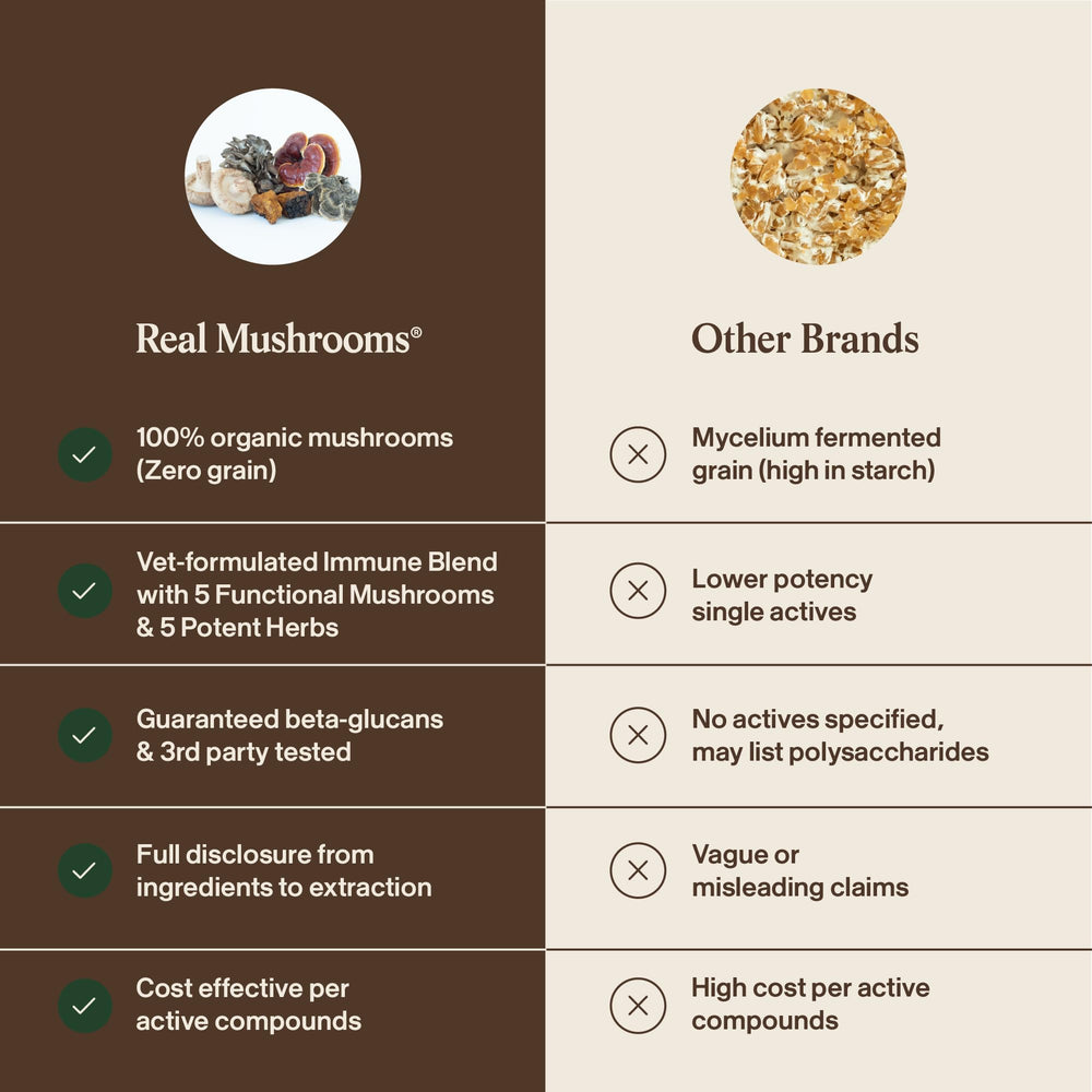 Real Mushrooms: elaborado en Estados Unidos, suplemento limpio para mascotas