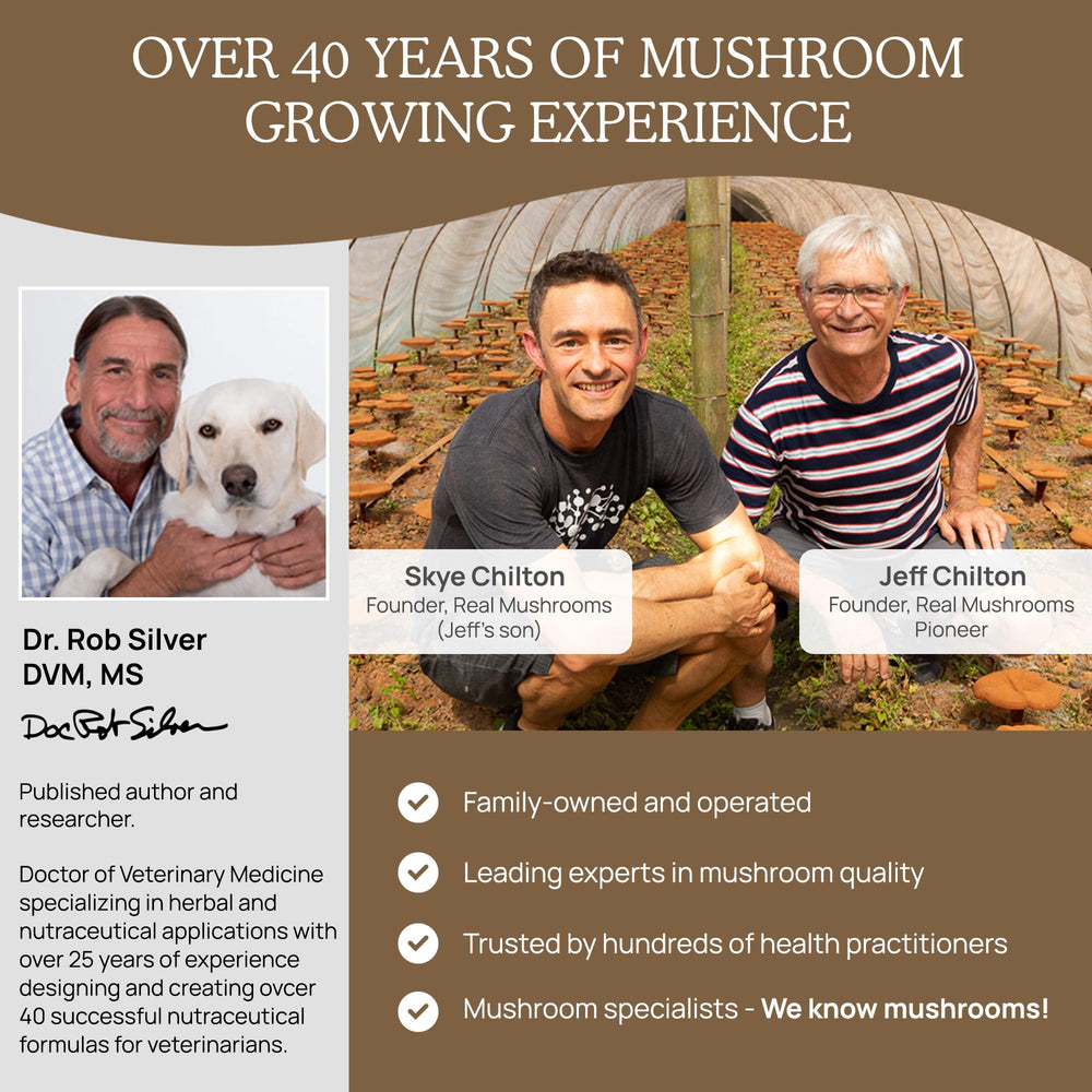 Real Mushrooms suministro para meses, ideal para rutinas consistentes