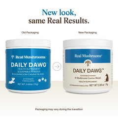 Real Mushrooms Melena de León Perro Polvo: fuente natural de energía y enfoque