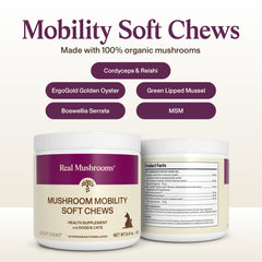 Real Mushrooms MSM y Boswellia, fórmula para comodidad de movimiento.