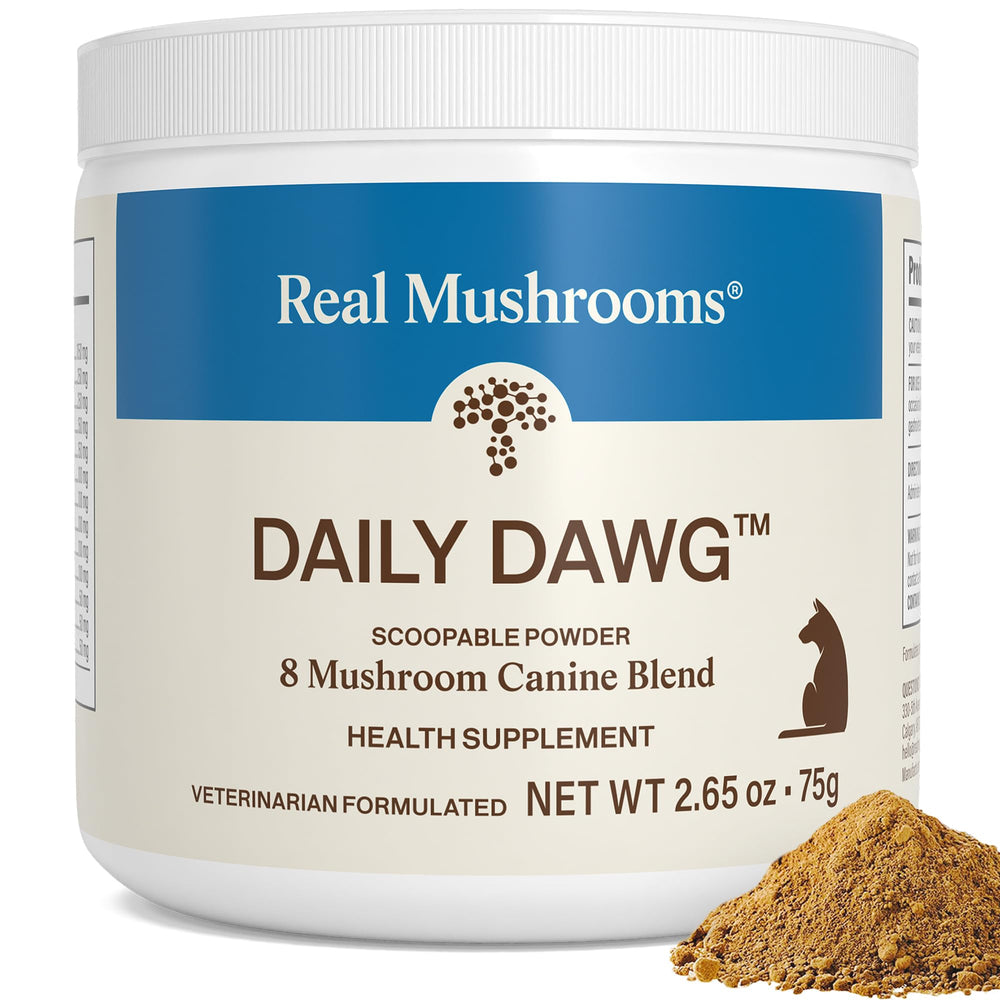 Real Mushrooms Salud Perro Polvo: apoyo diario para perros activos