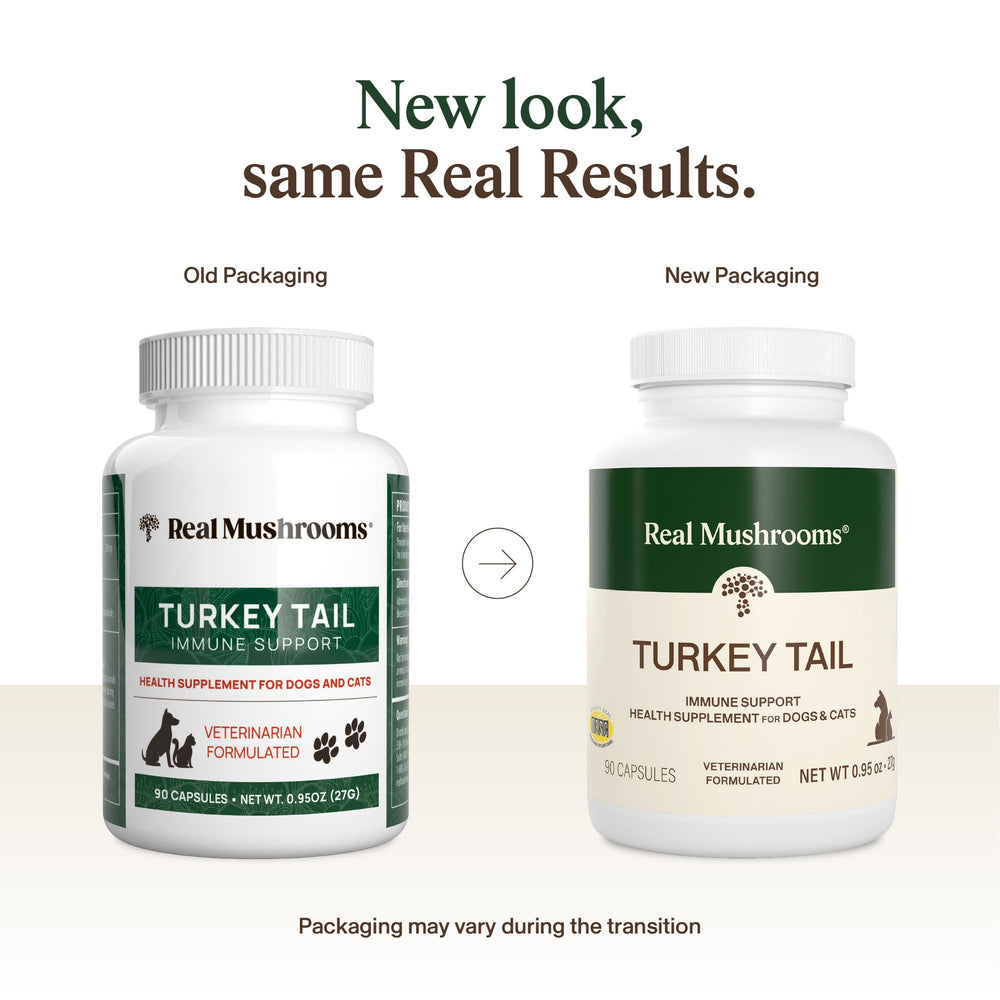 Real Mushrooms Turkey Tail para mascotas, bote en escritorio, entrega diaria fácil