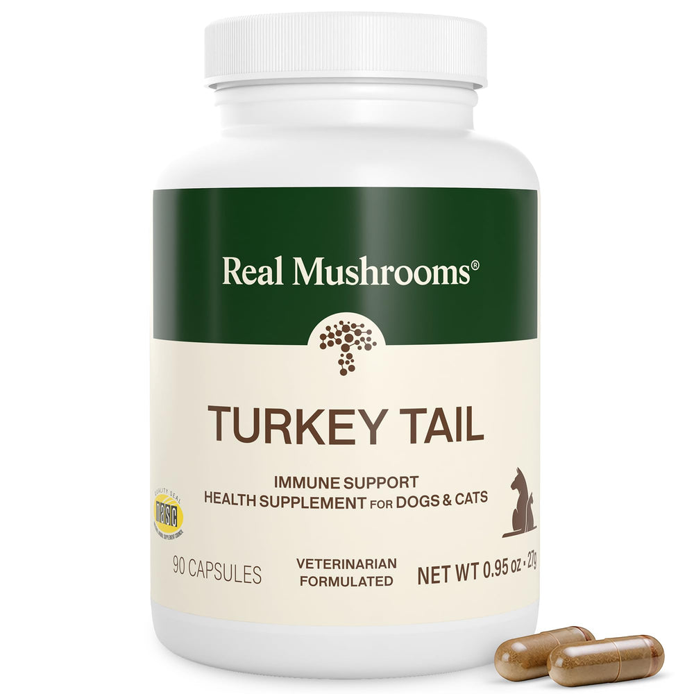 Real Mushrooms Turkey Tail para mascotas, cápsulas visibles en la mesa, apoyo diario al equilibrio