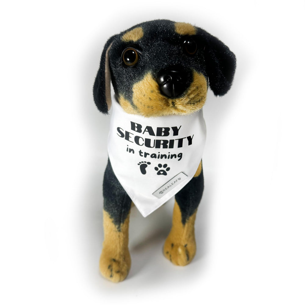 Contenido del paquete: una bandana elegante para el perro.