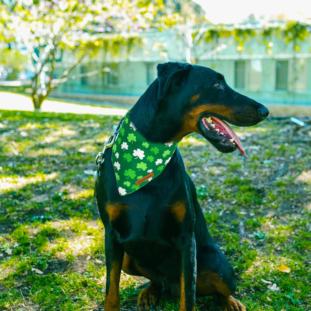 Ensemble double bandana Realeaf, pratique et coordonné