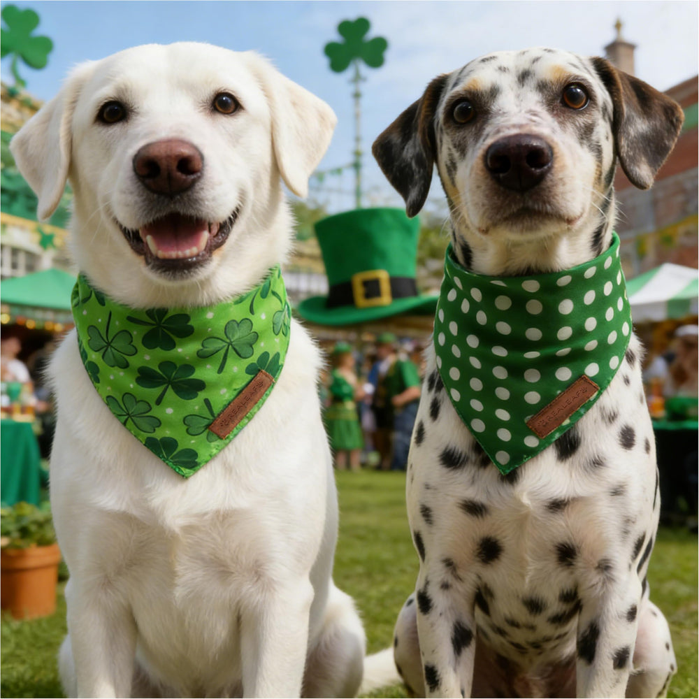 Bandana ideal para sesiones de fotos y fiestas caninas, de Realeaf