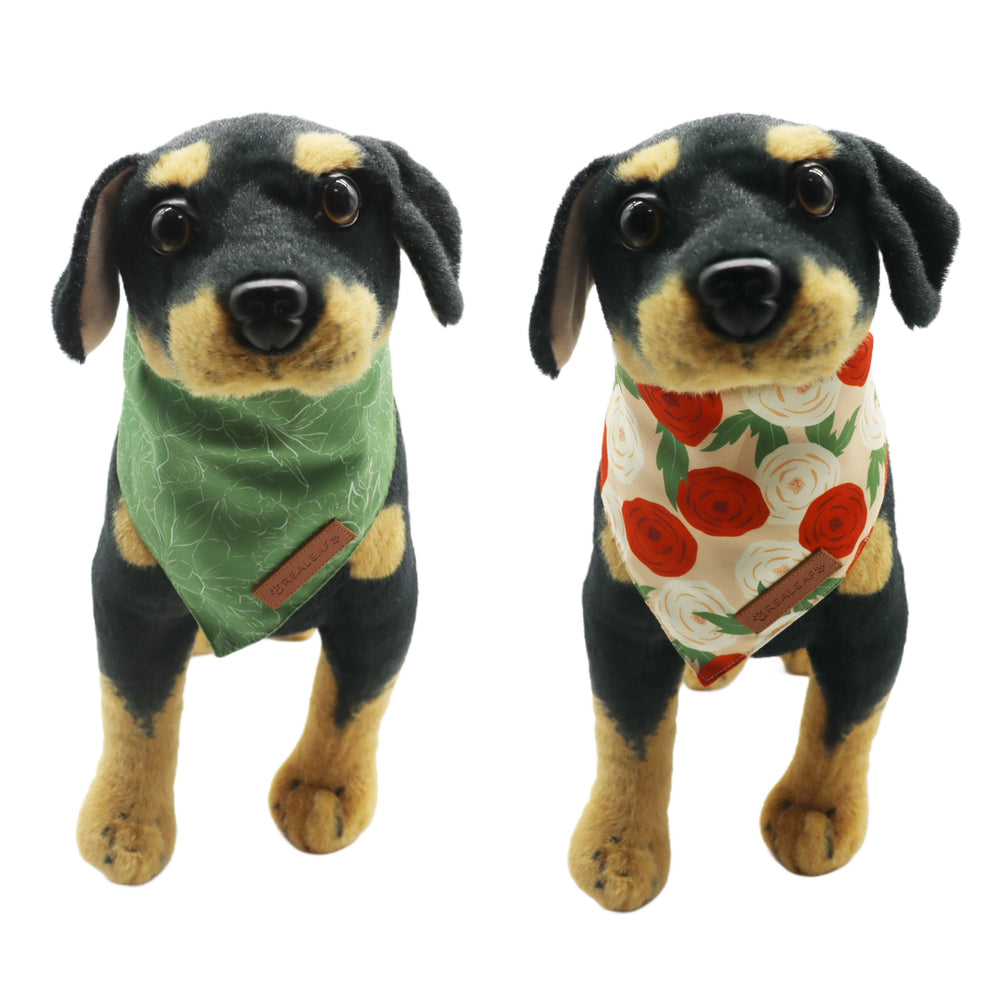 Sesión de fotos con bandanas Realeaf para perros.