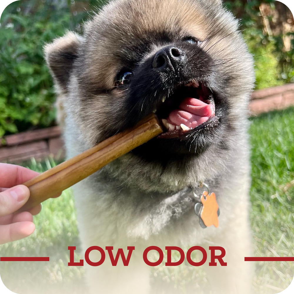 Redbarn batons-collagene-chiens – texture ferme ralentissant la mastication