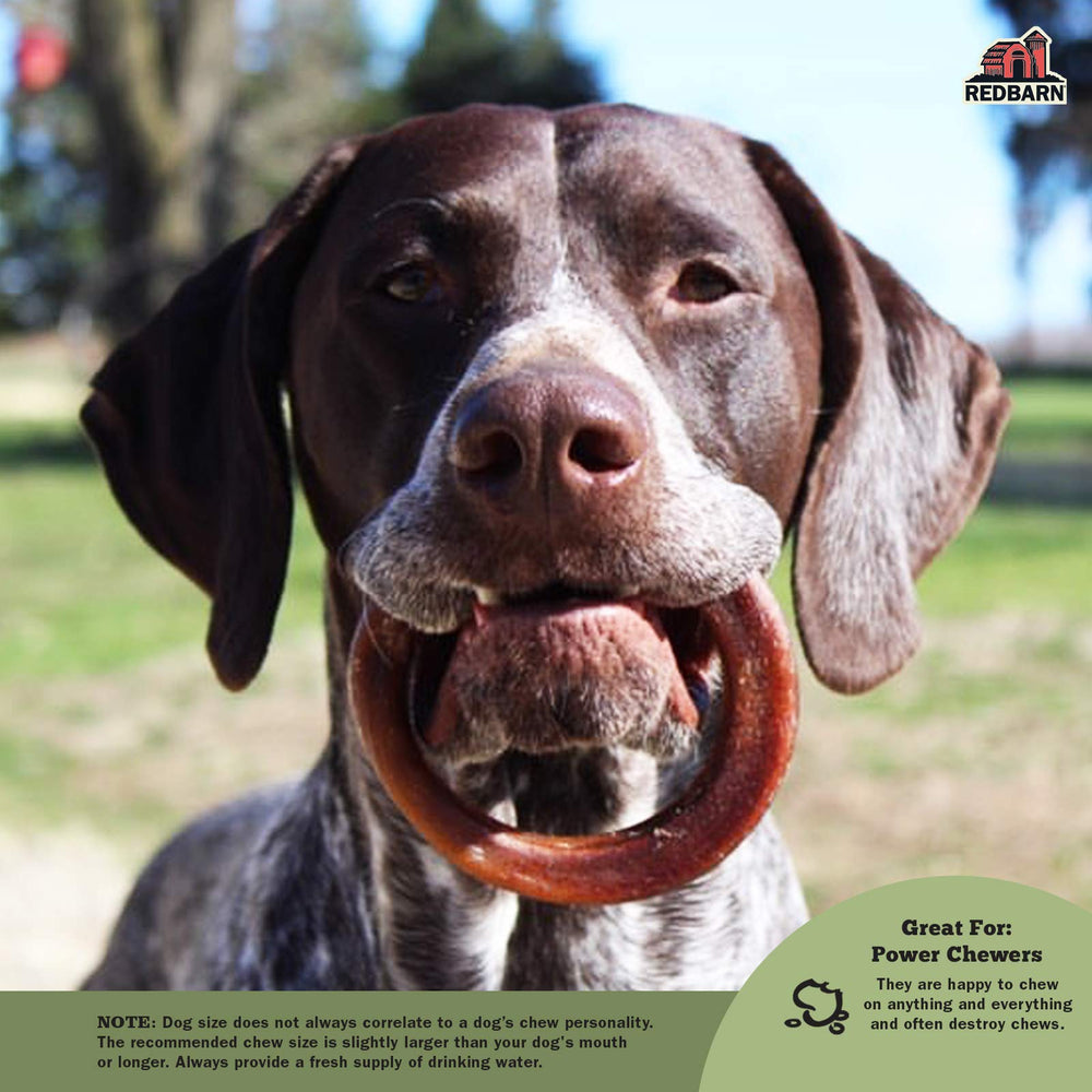 Redbarn Bully Rings perro masticando feliz, entretenimiento de horas