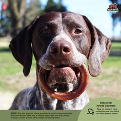 Redbarn Bully Rings perro masticando feliz, entretenimiento de horas